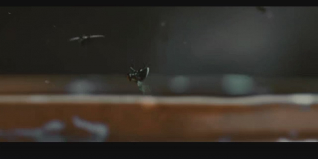 2008年电影《刺客联盟》看清苍蝇并开枪打下其翅03 .jpg