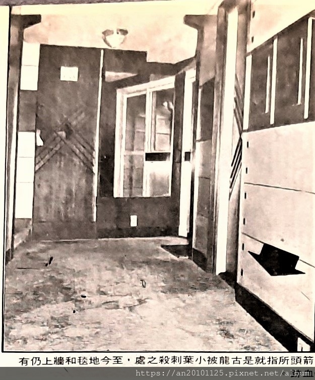 古龙被砍的走道