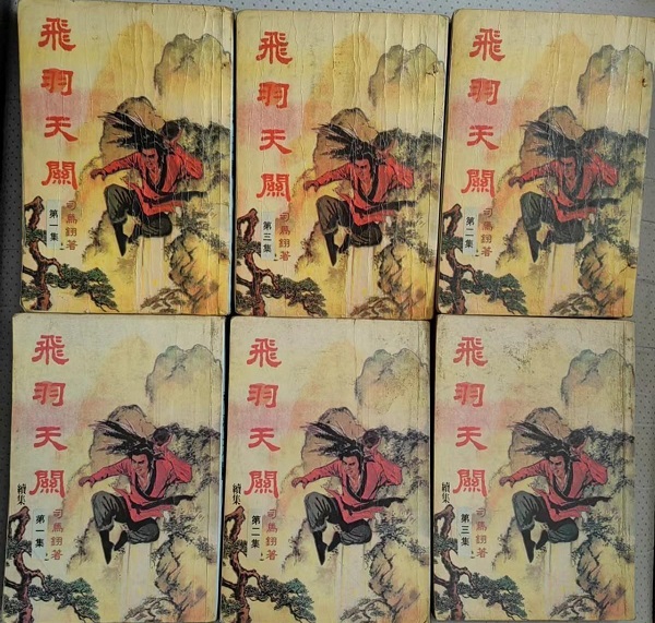 _《飞羽天关》毅力版 封面.jpg